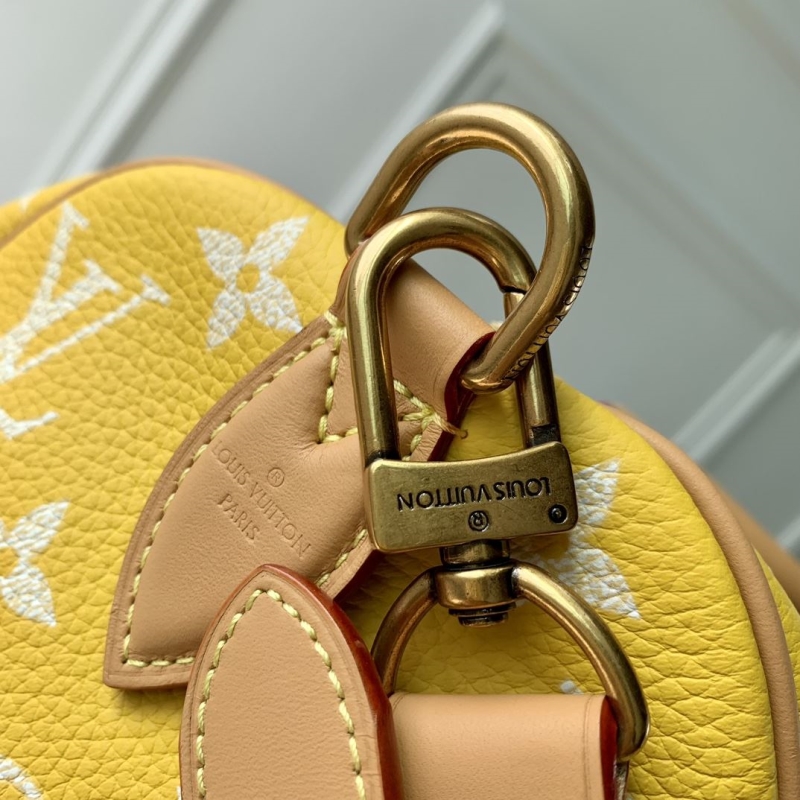 LV Travel Bags